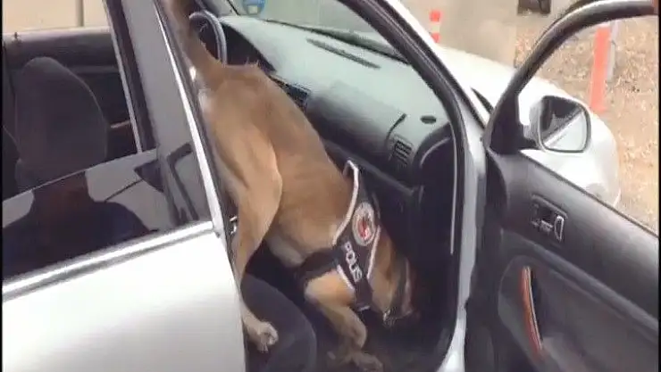 Malatya'da Yol Uygulamasında Durdurulan Araçta Zehire Geçit Yok