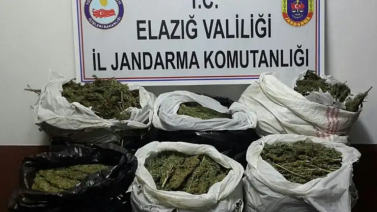 'Elazığ´da 47 kilo esrar ele geçirildi'