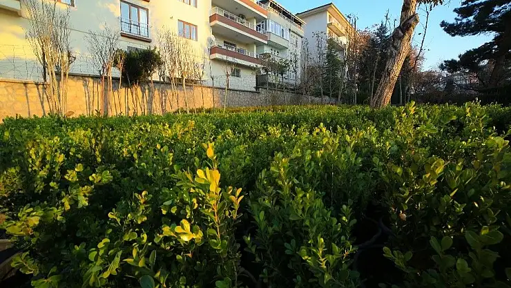 Battalgazi Belediyesinin yeni binasında peyzaj çalışmaları sürüyor