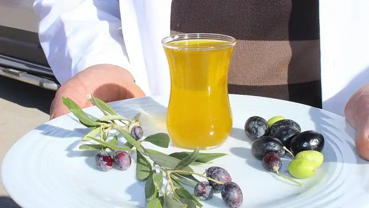 'Zeytine destek çiftçinin yüzü güldürdü'