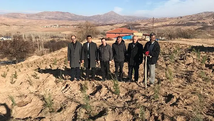 'Kuluncak´ta fidan dikimi'