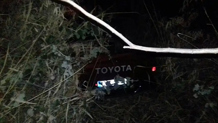 'Kamyonet elektrik direğine çarptı: 1 yaralı'