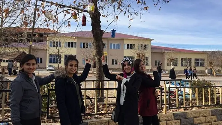 'Öğrenciler ağaçlara kuş yuvası bıraktı'