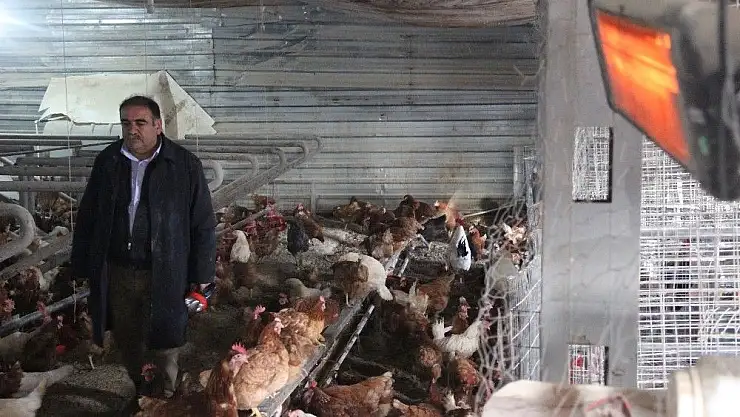 'Soğuktan verimi düşen tavukları elektrikli ısıtıcıyla ısıtıyor'