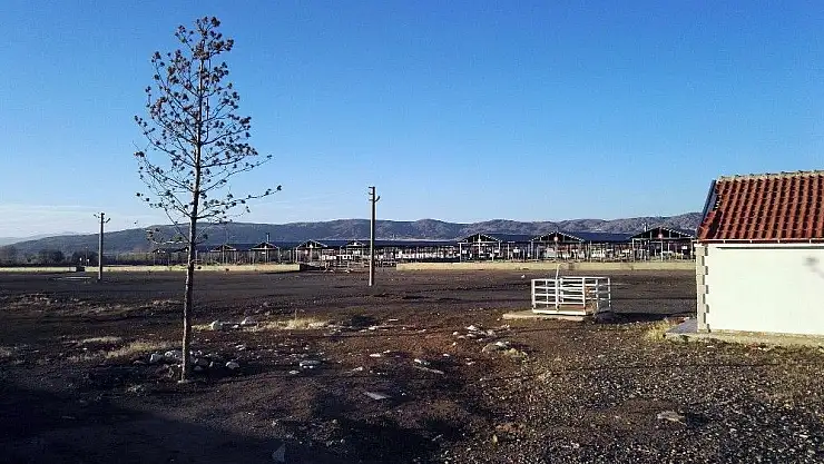 'Türkiye´nin en büyük hayvan pazarında şap karantinası'