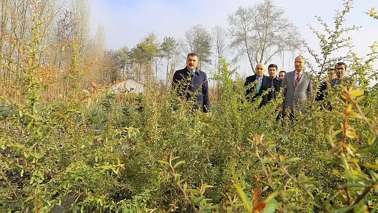 Gürkan fidanlıkta incelemede bulundu