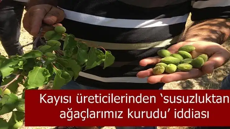 Kayısı üreticilerinden `susuzluktan ağaçlarımız kurudu´ iddiası