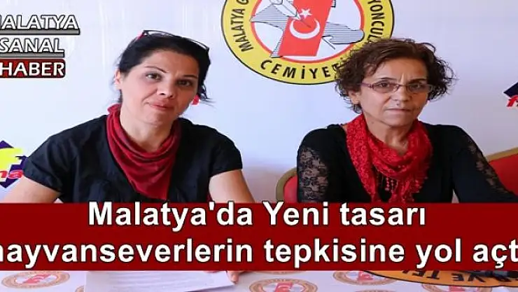 Malatya'da Yeni tasarı  hayvanseverlerin tepkisine yol açtı