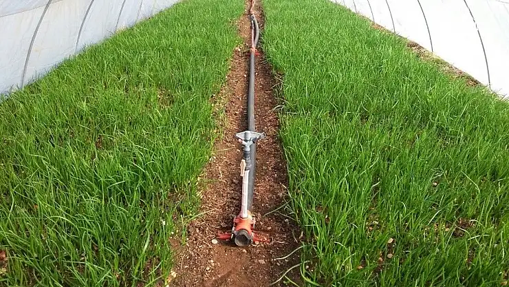 'ADYÜTAYAM organik ürün yetiştirmeye başladı'