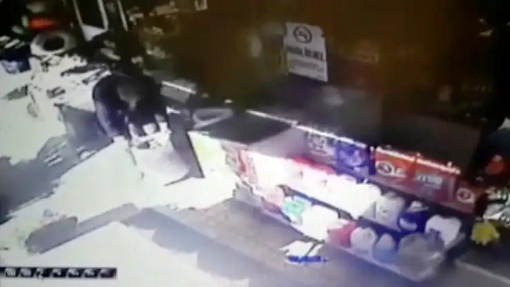 'Ceviz hırsızı yakalandı'