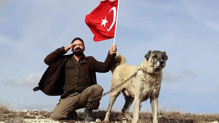 'Kangal köpekleri Zeytin Dalı Harekatı´na hazır'