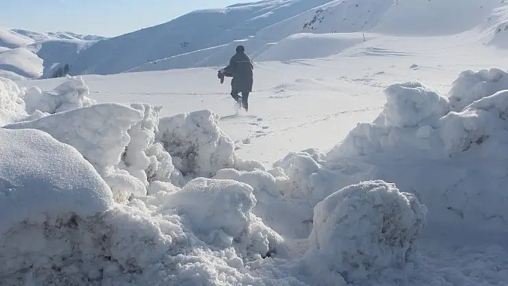 Malatya'da Yaban hayvanlarını unutmadılar