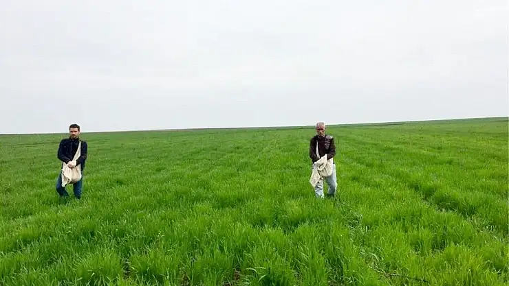 'Çiftçiler ekinlerini gübrelemeye başladı'