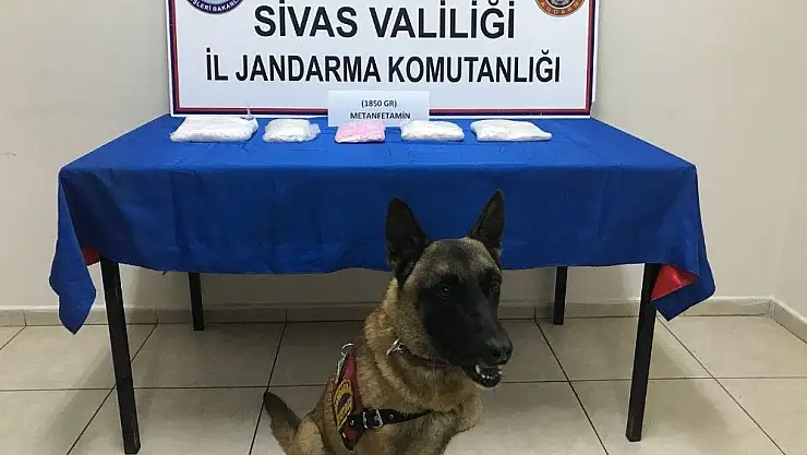 'Sivas´ta metamfetamin ele geçirildi'