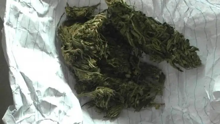 'Şüpheli şahısların üzerinden esrar çıktı'