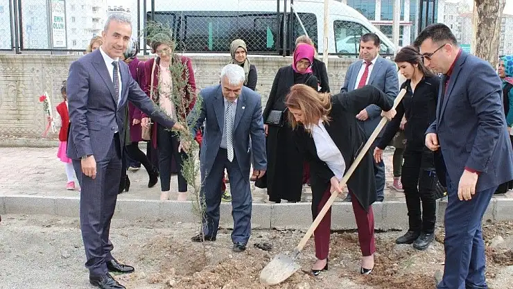 'Kadınlar ağaç dikti'