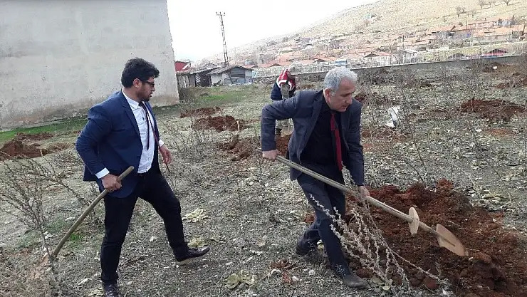 Doğanşehir´de yılın ilk cevizleri toprakla buluştu
