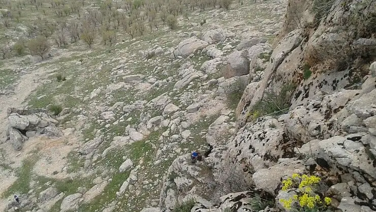 'Kayalıklarda mahsur kalan keçiler kurtarıldı'