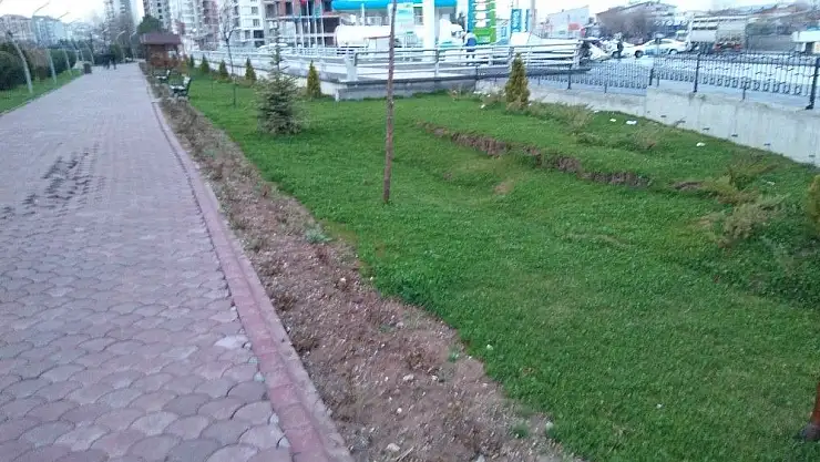 'Şehir merkezindeki caddede oluşan çökme ve çatlaklar korkuttu'