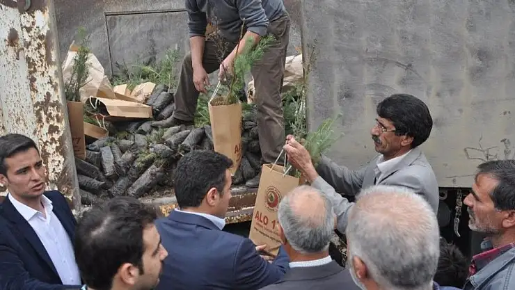 'Arıcak´ta 2 bin 750 adet fidan dağıtıldı'