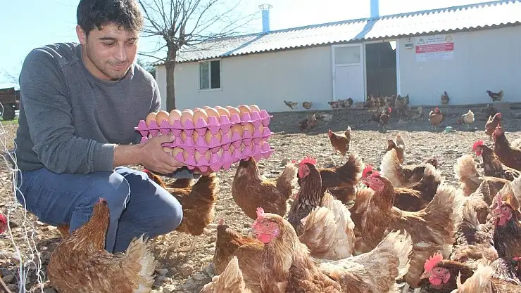 'Genç Çiftçi Proje başvuruları başlıyor'