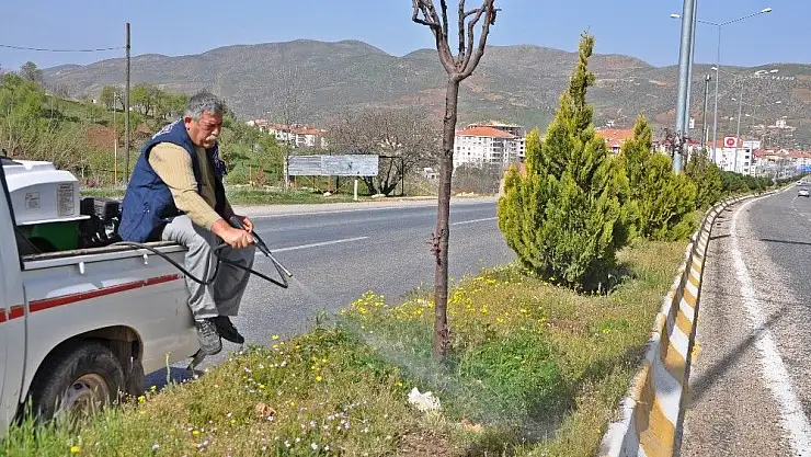 'Gölbaşı ilçesinde ağaçlara ilaçlı bakım'