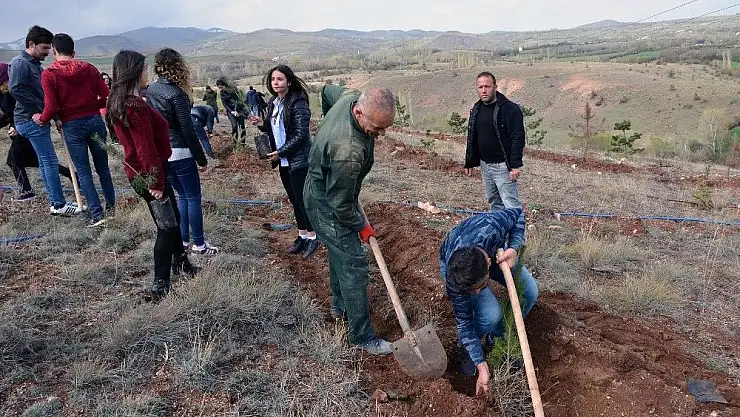 'Yüksek Okulda  Fidan Dikimi'