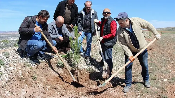 'Ata´ya giden yolu 11 kilometre boyunca ağaçlandırdılar'