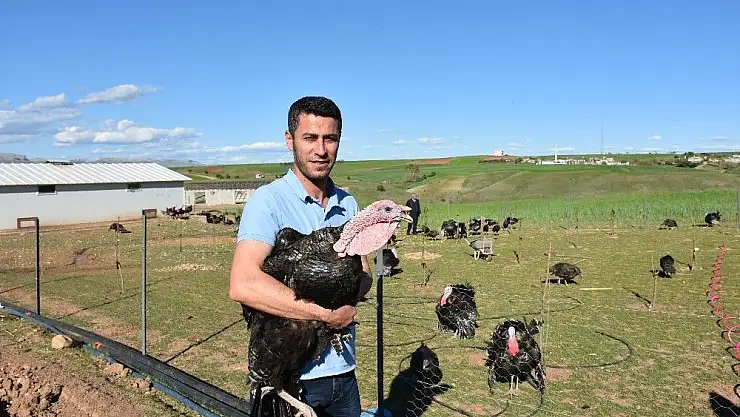 'Kahta´da organik hindi yetiştiriyor'