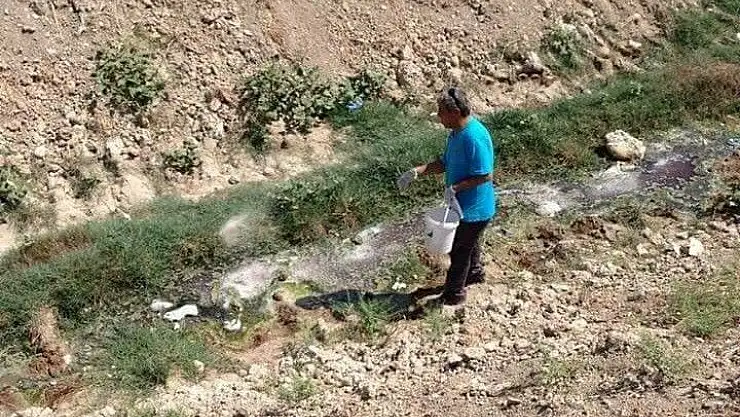 'Kahta´da haşere ile mücadele başladı'