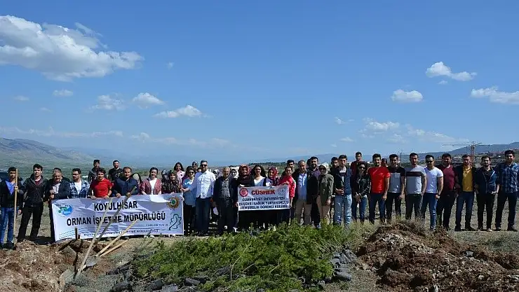 'Suşehri´nde üniversite öğrencileri fidan dikti'