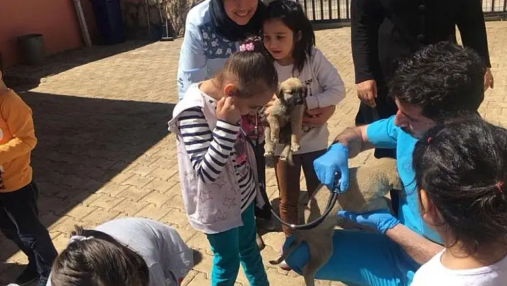'Öğrencilere hayvan dostu rozeti takıldı'