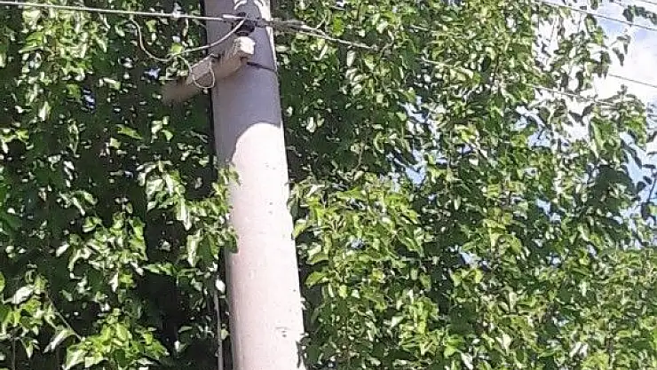 'Gündüz yanan lambalara tepkiler devam ediyor'