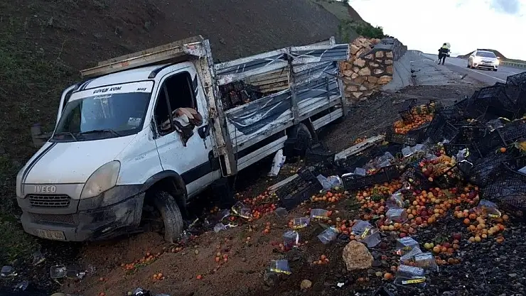 'Kamyonet şarampole devrildi: 1 ölü'