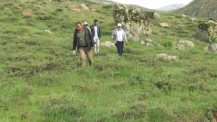'Elazığ´da nesli tehlikede olan kuş türleri ve sürüngenler tespit edildi'