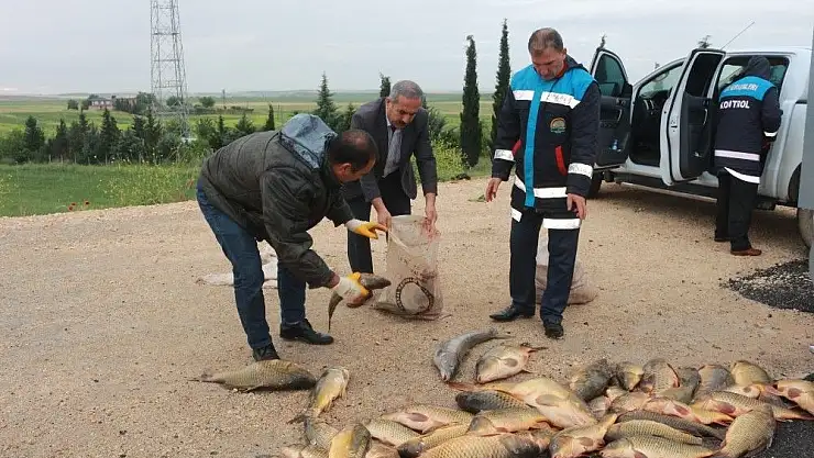 'Jandarma ekipleri av yasağına uymayanlara göz açtırmıyor'