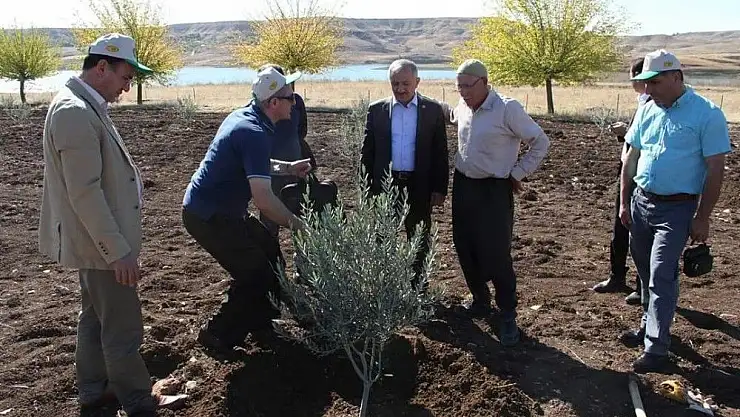 'Başkan Şahan 14 Mayıs Dünya Çiftçiler Gününü kutladı'