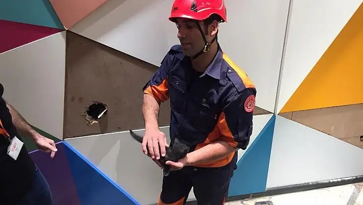 'Havalandırma boşluğundaki yavru kedi kurtarıldı'