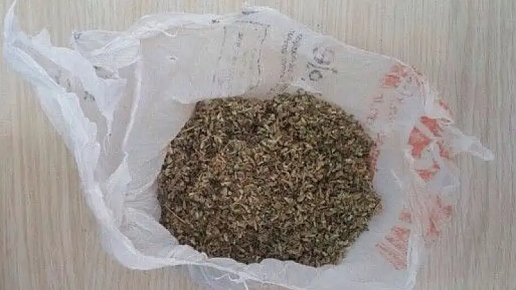 'Üzerlerinde bonzai çıkan şahıslar gözaltına alındı'