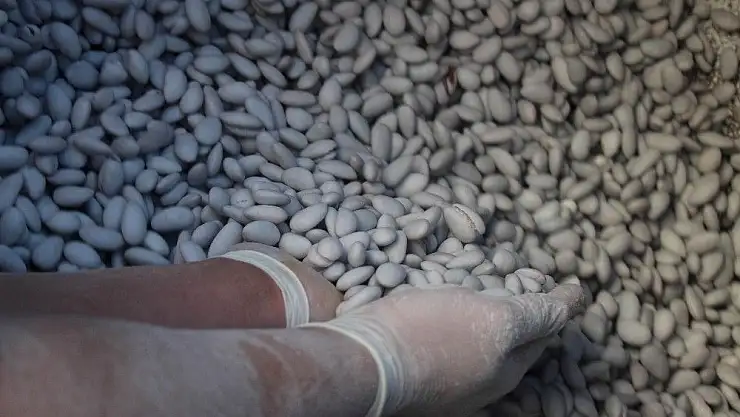 'Badem şekerine talep 10 kat arttı'