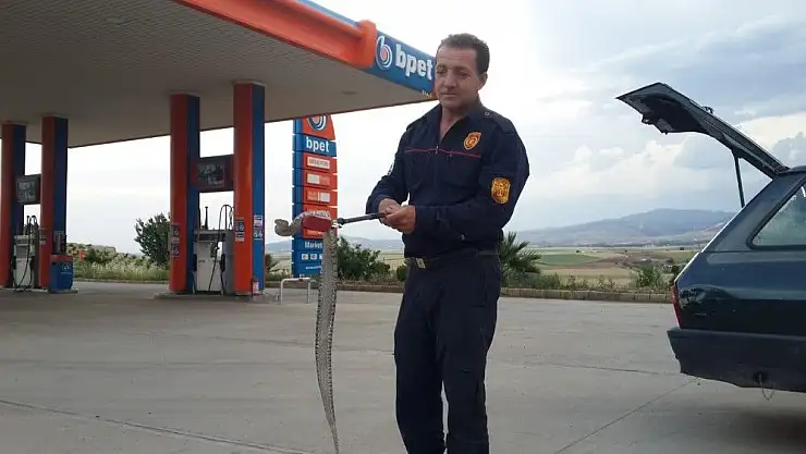 'Otomobilin motor kısmına giren yılan çıkartıldı'