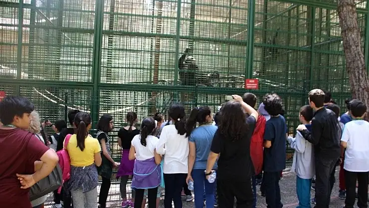 'Çamlıca Okullarından Gaziantep´e gezi'