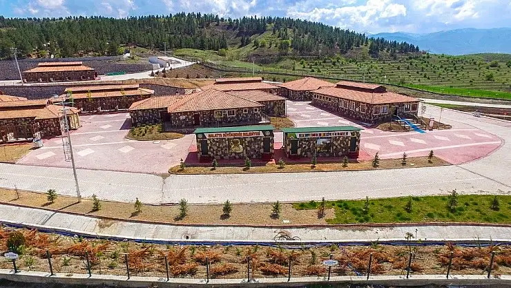 'Malatya´da 4 ayda 194 başıboş hayvan sahiplenildi'