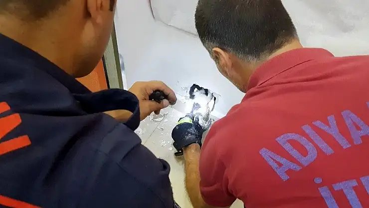 'Yavru kedi duvar kırılarak kurtarıldı'