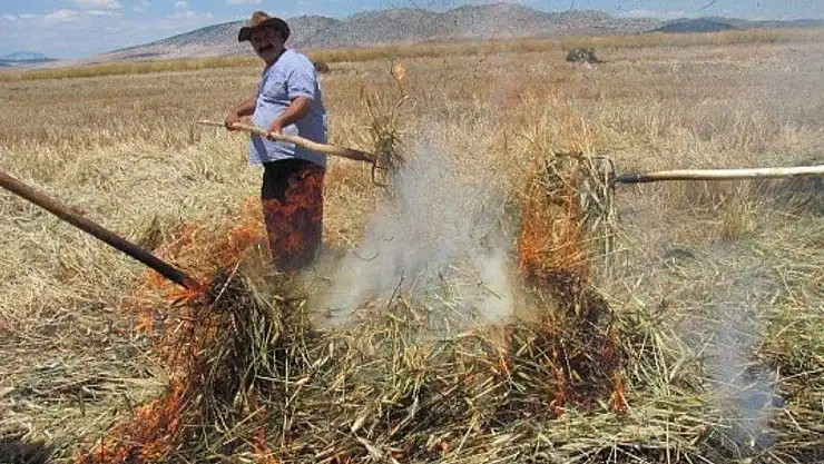 'Kahramanmaraş´ta firik buğdayı hasadı başladı'