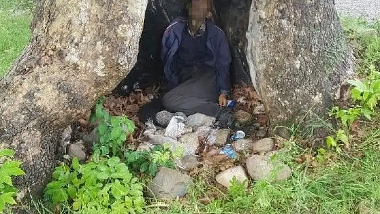 'Yağmurda sığındığı ağaç kovuğunda yıldırım düşmesi sonucu öldü'
