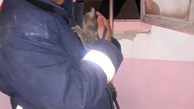 'Havalandırma boşluğuna düşen kedi kurtarıldı'
