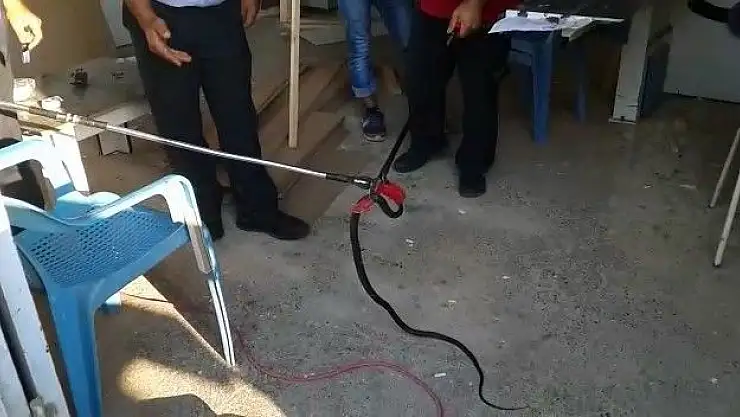 'İş yerinde yılan paniği'