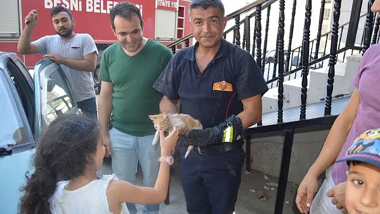 'Otomobilin tekerine sıkışan kedi itfaiye ekipleri tarafından kurtarıldı'