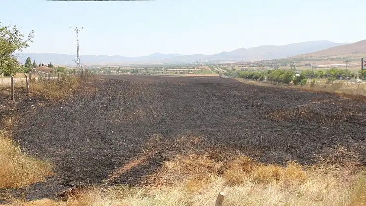 'Sigara izmariti 80 dönüm buğdayı kül etti'